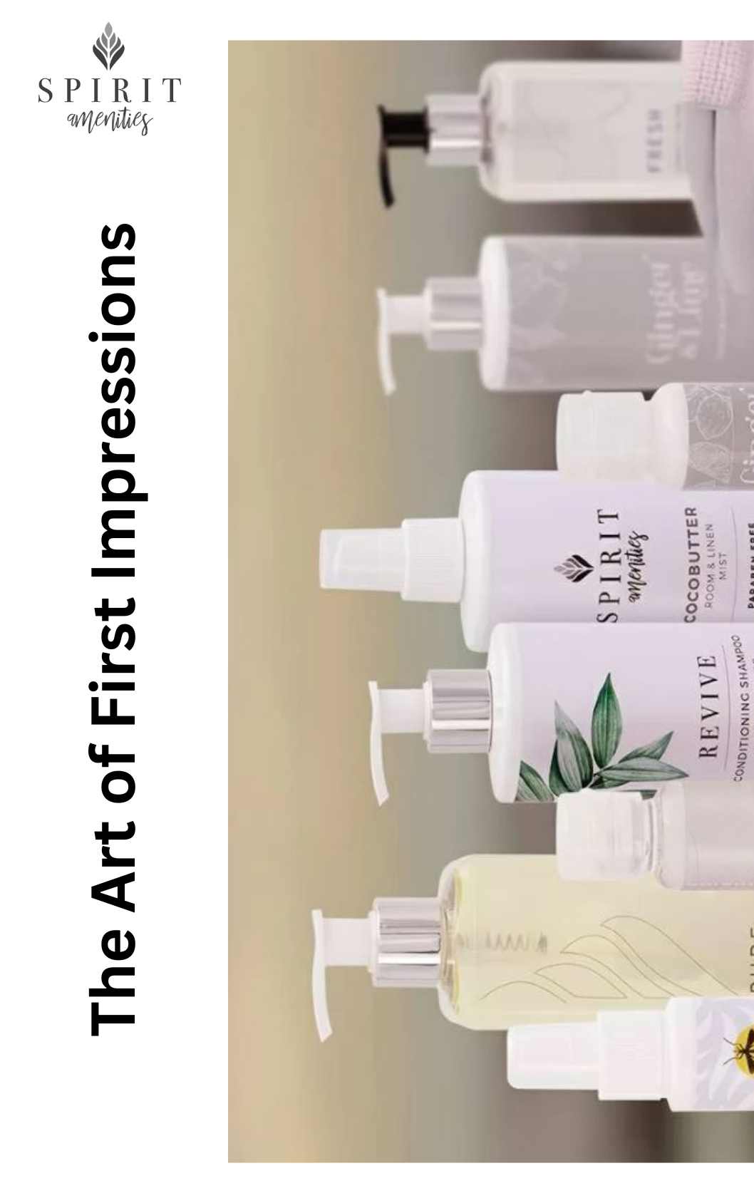 The Art of First Impressions